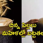 High Selenium Wheat Baldness: వీడిన మిస్టరీ.. మహారాష్ట్ర గ్రామాల్లో అందరికీ బట్టతలకు కారణం అదే
