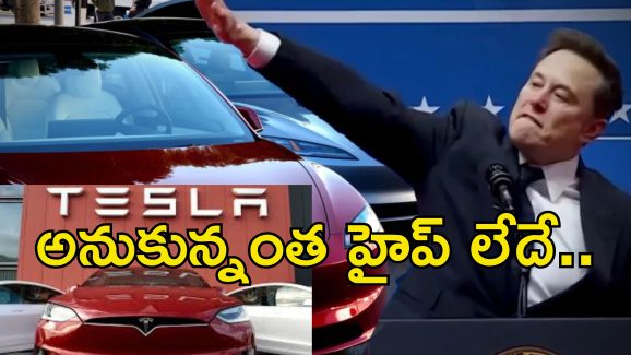 Tesla Cars India : భారత్ లో టెస్లా కార్లు గిట్టుబాటవుతాయా?.. మస్క్ కంపెనీకి ఇండియాలో గట్టి పోటీ