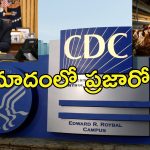 Trump Fire Disease Detectives: ట్రంప్ అంతా రివర్స్.. బర్డ్ ఫ్లూ వేళ వైద్య నిపుణులపై వేటు