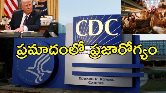 Trump Fire Disease Detectives: ట్రంప్ అంతా రివర్స్.. బర్డ్ ఫ్లూ వేళ వైద్య నిపుణులపై వేటు