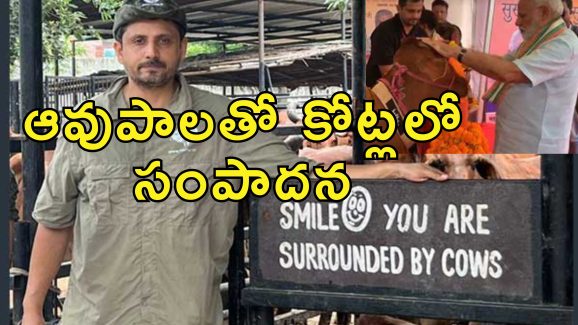 Software Employee Dairy Business : లీటర్ పాలు రూ.180.. నెయ్యి కిలో రూ.4000.. సాఫ్ట్‌వేర్ ఉద్యోగి సూపర్ బిజినెస్