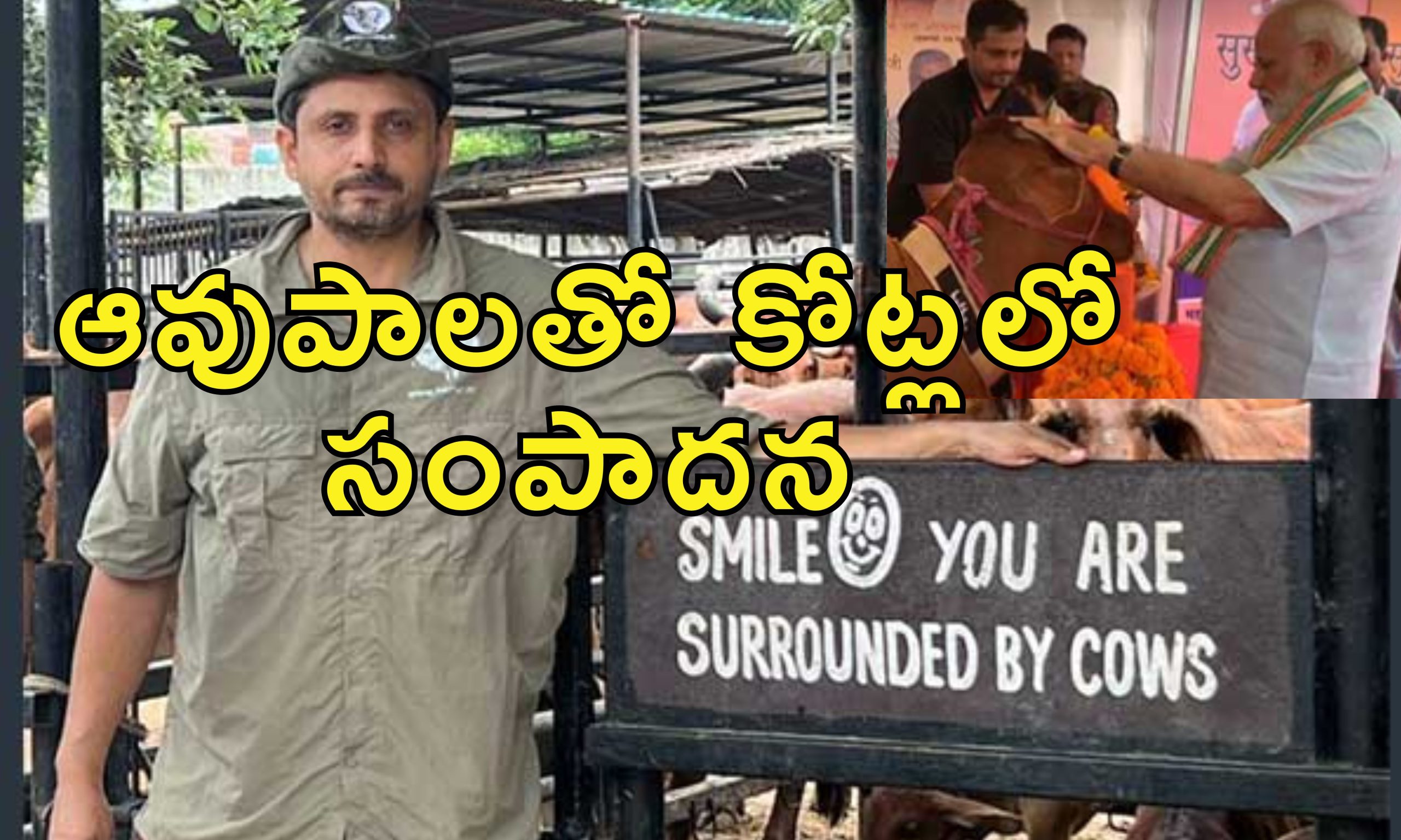 Software Employee Dairy Business : లీటర్ పాలు రూ.180.. నెయ్యి కిలో రూ.4000.. సాఫ్ట్‌వేర్ ఉద్యోగి సూపర్ బిజినెస్