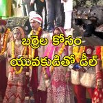 Woman Second Wedding For Buffaloes : ఫ్రీగా గేదెలు వస్తాయి.. రెండో పెళ్లి చేసుకుంటా!.. భర్త ఉండగానే