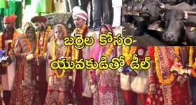 Health Tips: రాత్రి 7 గంటలలోపు భోజనం చేస్తే.. మీ ఆయుర్దాయం ఎంత పెరుగుతుందో తెలుసా ?