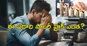 IT sector Salary Hike Nominal : ఐటీ రంగంలో జీతాల పెంపు నామమాత్రమే.. ఎందుకంటే?..