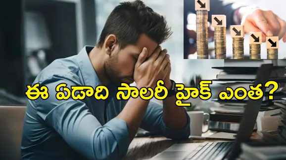 IT sector Salary Hike Nominal : ఐటీ రంగంలో జీతాల పెంపు నామమాత్రమే.. ఎందుకంటే?..