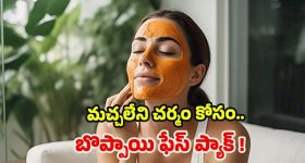 Papaya For Face Glow: మచ్చ లేని, తెల్లటి ముఖం కోసం.. ఈ ఫేస్ ప్యాక్ ట్రై చేయండి