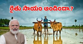 PM Kisan - 2025 : పీఎం కిసాన్ డబ్బులు విడుదల - మీకు డబ్బులు పడ్డయా, ఇలా చెక్ చేసుకోండి.
