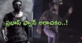 Janowar Movie : పుట్టినరోజు ఆఖరి రోజుగా మారితే... తల్లి కూతుర్లను దారుణంగా ...