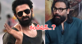 Sandeep Reddy Vanga: ప్రభాస్‌కే అలాంటి కండిషన్స్ పెడతావా? సందీప్‌పై అభిమానులు ఫైర్..!