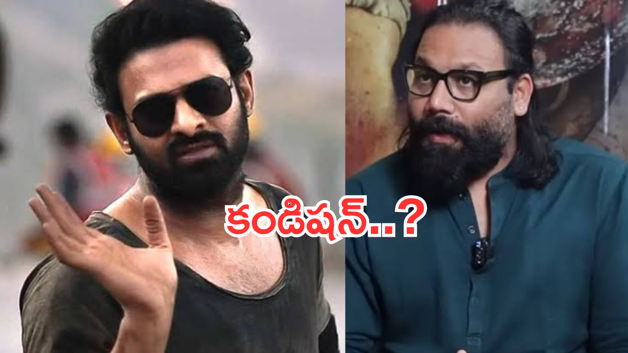 Sandeep Reddy Vanga: ప్రభాస్‌కే అలాంటి కండిషన్స్ పెడతావా? సందీప్‌పై అభిమానులు ఫైర్..!