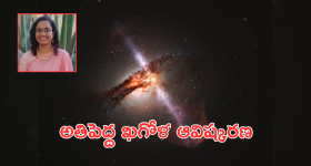 Watermelon: పుచ్చకాయ కొనుగోలు చేస్తున్నారా? ఇలా చెక్ చేయకుంటే పెను ప్రమాదమే?