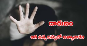 Balineni Srinivasa Reddy: బాలినేని కుమారుడు ప్రణీత్ రెడ్డికి లైన్ క్లియర్? జనసేనలో కీలక పదవి?