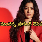 Rashmika Mandanna : తెలుగు సినిమాలకు రష్మిక మందన్న దూరం.. కారణం ఇదే..?