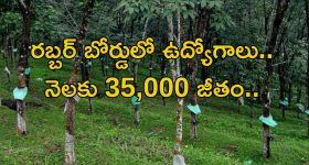 Prudhvi Raj Controversy : పృథ్వీరాజ్ నోటి దూల వల్ల ఇండస్ట్రీకి నష్టం... నిర్మాత ఫైర్