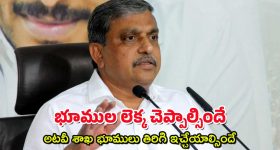 Sajjala Lands Survey : సజ్జలకు పవన్ కళ్యాణ్ షాక్ - 150 ఎకరాల భూముల రీ-సర్వే