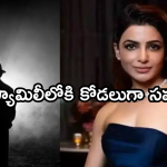 Samantha : బాలీవుడ్ స్టార్ హీరో ఇంటికి కోడలుగా వెళ్ళబోతున్న సమంత.. ఇదేం ట్విస్ట్ రా బాబు..