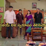 Satyabhama Today Episode : సంధ్యకు సత్య బిగ్ షాక్.. మైత్రి ప్లాన్ వర్కౌట్ అయ్యినట్లేనా..?
