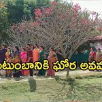 Satyabhama Today Episode : మహాదేవయ్య కుటుంబంలో సంధ్యకు అవమానం.. షాక్ లో విశ్వనాథ్..