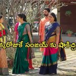 Satyabhama Today Episode : విశాలాక్షి పై సంధ్య పోలీస్ కేసు.. సత్యకు మహాదేవయ్య స్ట్రాంగ్ వార్నింగ్…