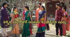 Satyabhama Today Episode : విశాలాక్షి పై సంధ్య పోలీస్ కేసు.. సత్యకు మహాదేవయ్య స్ట్రాంగ్ వార్నింగ్...