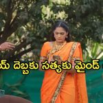 Satyabhama Today Episode : సంధ్య, సంజయ్ ను విడగొట్టే ప్లాన్.. సంజయ్ కు షాకిచ్చిన సత్య..