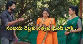Satyabhama Today Episode : సంధ్య, సంజయ్ ను విడగొట్టే ప్లాన్.. సంజయ్ కు షాకిచ్చిన సత్య..