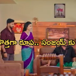 Satyabhama Today Episode : సంధ్య, సంజయ్ కు షాకిచ్చిన చక్రవర్తి.. మహాదేవయ్యకు సత్య వార్నింగ్..