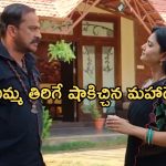 Satyabhama Today Episode : ఎన్నికల నుంచి తప్పుకున్న సత్య.. సంజయ్ కు క్రిష్ స్ట్రాంగ్ వార్నింగ్..
