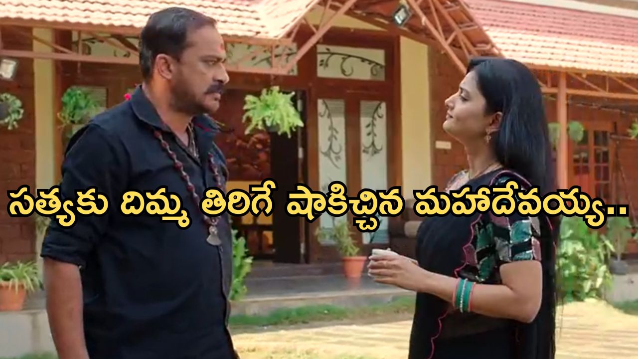 Satyabhama Today Episode : ఎన్నికల నుంచి తప్పుకున్న సత్య.. సంజయ్ కు క్రిష్ స్ట్రాంగ్ వార్నింగ్..
