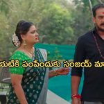 Satyabhama Today Episode : భైరవికి సంజయ్ కన్నబిడ్డ అని నిజం తెలుసుకున్న భైరవి.. క్రిష్ దూరం అవుతాడా..?