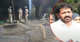 Bigg Boss: ఏకంగా 3 ఖరీదైన ఫ్లాట్స్ కొన్న బిగ్ బాస్ బ్యూటీ.. ఎన్ని కోట్లంటే..?