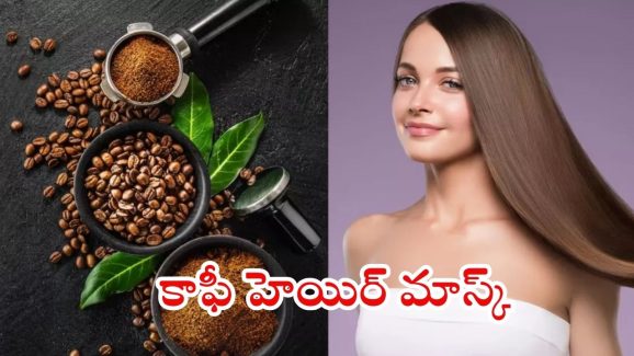 Hair Fall Control: జుట్టు పలచబడుతోందా ? ఇలా చేస్తే.. ప్రాబ్లమ్ సాల్వ్