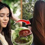 Long Hair Secret: వీటిని వాడితే.. పొడవాటి జుట్టు పక్కా !