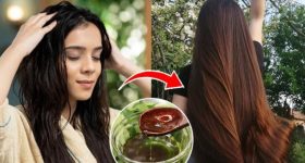 Long Hair Secret: వీటిని వాడితే.. పొడవాటి జుట్టు పక్కా !