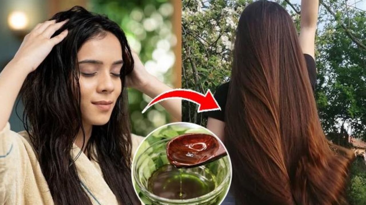 Long Hair Secret: వీటిని వాడితే.. పొడవాటి జుట్టు పక్కా !