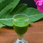Raw Papaya Juice: పచ్చి బొప్పాయి జ్యూస్ తాగితే.. ఎన్ని లాభాలో తెలుసా ?