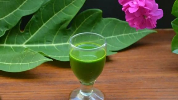 Raw Papaya Juice: పచ్చి బొప్పాయి జ్యూస్ తాగితే.. ఎన్ని లాభాలో తెలుసా ?