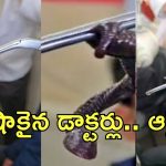 Doctor removes: కంగుతిన్న డాక్టర్లు.. బాలుడి ముక్కులో పాము తోక.. బయటకు లాగితే..