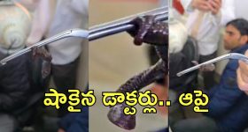 Bald Head: ఆముదంలో ఈ ఒక్కటి కలిపి వాడితే.. జన్మలో బట్ట తల రాదు