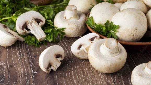 Mushroom Benefits: మష్రూమ్స్ తింటే బోలెడు లాభాలు, పరిశోధనల్లో షాకింగ్ నిజాలు