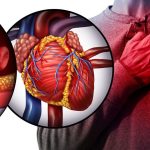 Heart Attack: ఉన్నపాటుగా ప్రాణాలను తోడేస్తున్న గుండెపోటు, వీటిని అస్సలు లైట్ తీసుకోవద్దు !