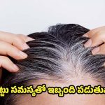 Tips For White Hair: ఇలా చేస్తే.. తెల్ల జుట్టు రమ్మన్నా రాదు