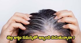 Tips For White Hair: ఇలా చేస్తే.. తెల్ల జుట్టు రమ్మన్నా రాదు