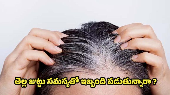 Tips For White Hair: ఇలా చేస్తే.. తెల్ల జుట్టు రమ్మన్నా రాదు