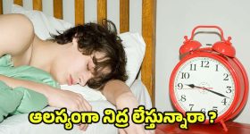 Wake Up Late: ఉదయం పూట ఆలస్యంగా నిద్ర లేస్తున్నారా ? డేంజర్‌లో పడ్డట్లే !