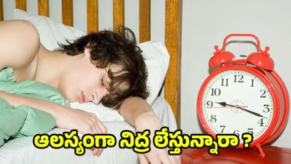 Wake Up Late: ఉదయం పూట ఆలస్యంగా నిద్ర లేస్తున్నారా ? డేంజర్‌లో పడ్డట్లే !