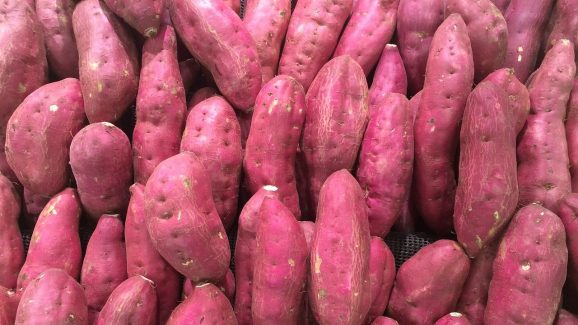 Sweet Potato: ఉడికించిన చిలగడదుంప తింటే జరిగేది ఇదే.. మీరు అస్సలు ఊహించి ఉండరు