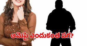 Actresses: టాప్ హీరోయిన్‌పై ఏడుగురు లైంగిక దాడి.. తోటి నటుడే విలన్, ఆ రాత్రి ఏం జరిగిందంటే...