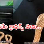 Tv Serial : కారు నడిపిన పాము.. ఆ లాజిక్ ఎలా మరిచారో.. టీఆర్పీ కోసం ఇంతకి తెగిస్తారా?